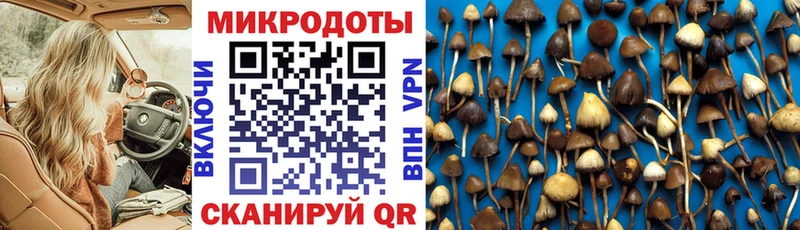 где купить Истра Галлюциногенные грибы Magic Shrooms