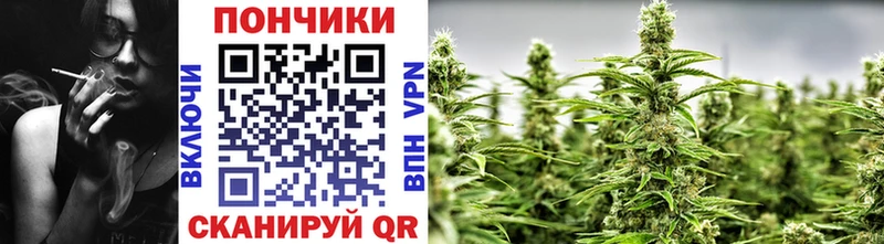 Бошки марихуана SATIVA & INDICA  Истра 
